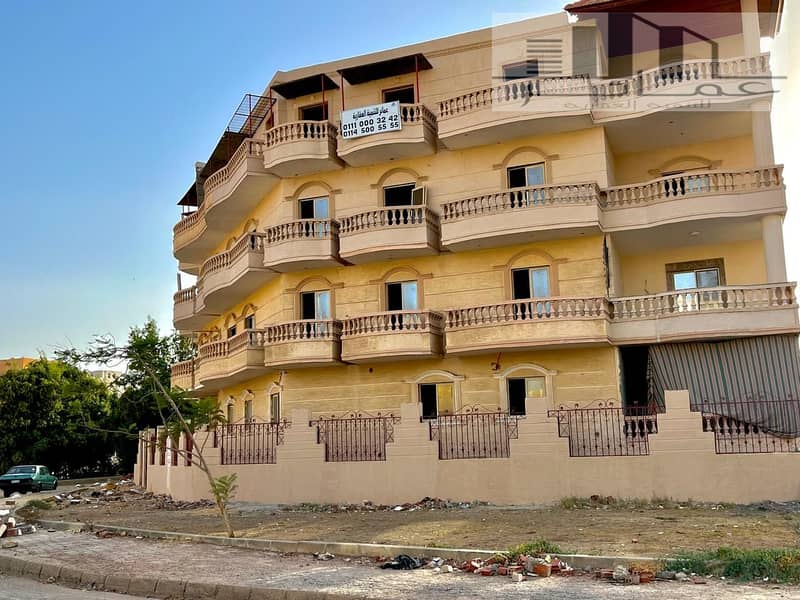 5 WhatsApp Image 2025-07-30 at 13.15. 39_198affdc. jpg