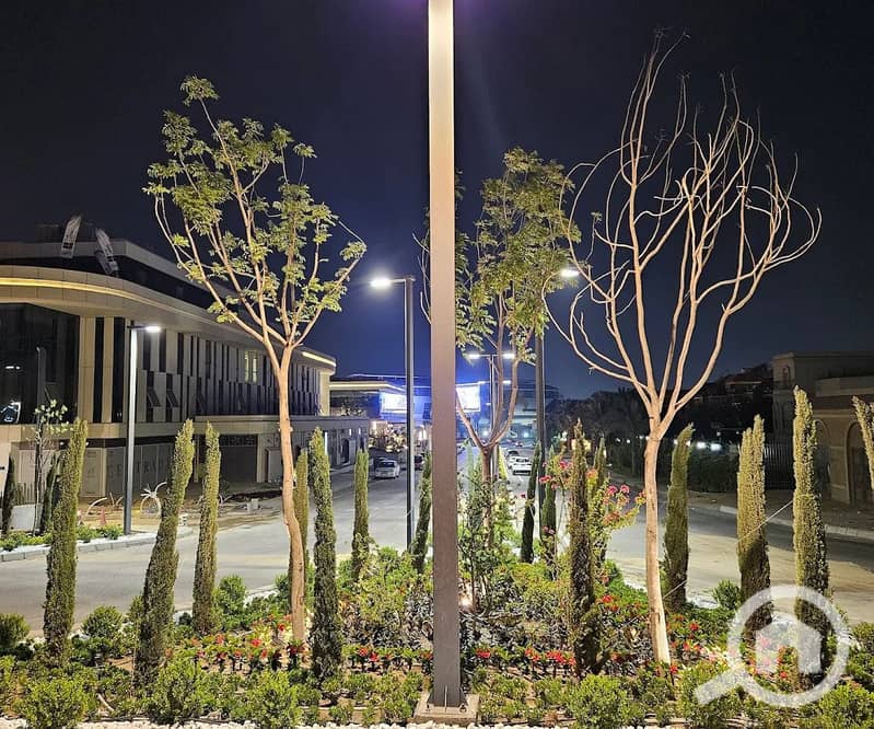 14 WhatsApp Image 2025-12-16 at 3.54. 35 PM. jpeg