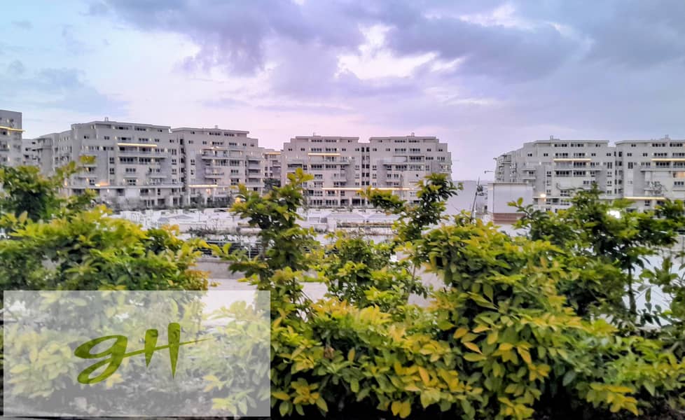 IMG-20251230-WA0164~2. jpg IMG-20251230-WA0164~2. jpg