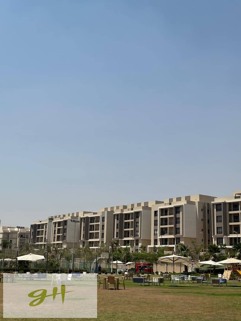 4 FB_IMG_1767436606993. jpg