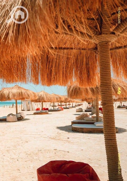 10 Screenshot 2025-08-17 132808. jpg