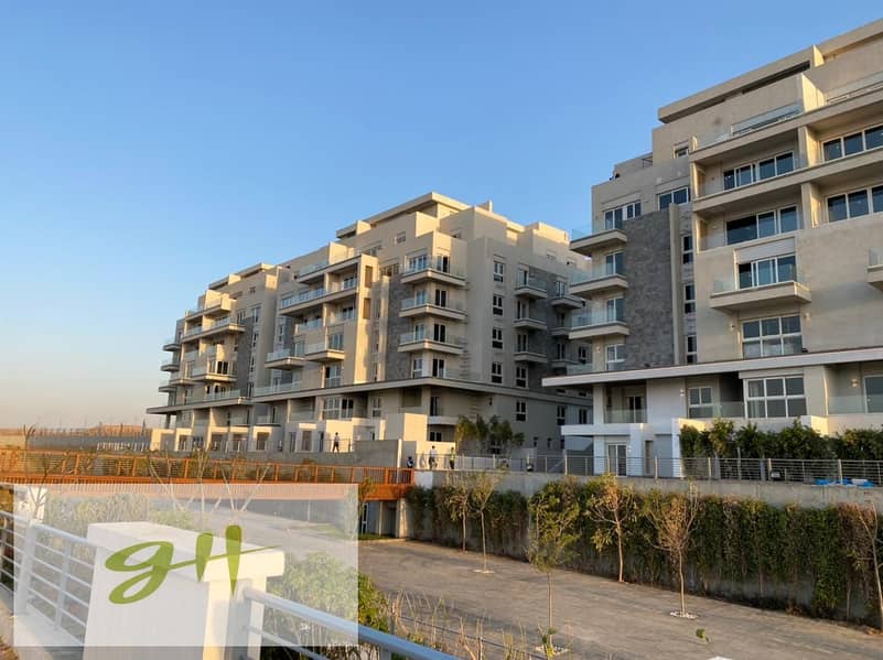 8 461643080_522029057455692_5620203684457082839_n - Copy. jpg