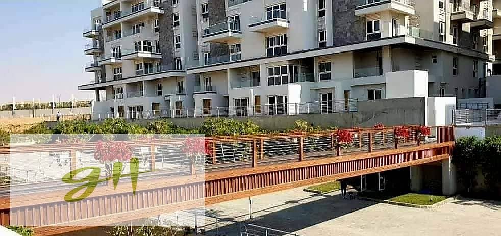 9 461659998_522028707455727_6602223144933141894_n. jpg