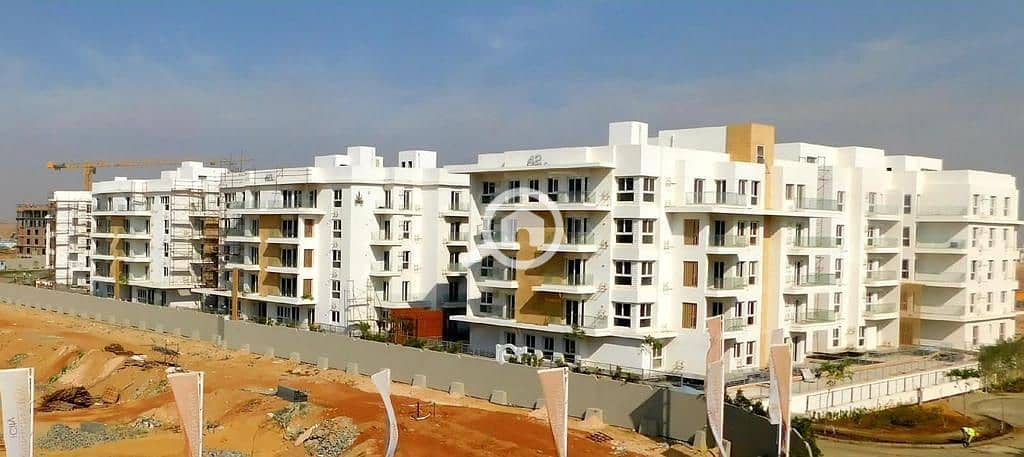 9 WhatsApp Image 2024-08-13 at 15.09. 56_eb2c14e8. jpg