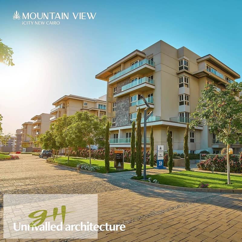 21 517318700_745200421757508_5916799176497185694_n. jpg