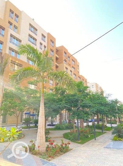 15 Screenshot_14. jpg