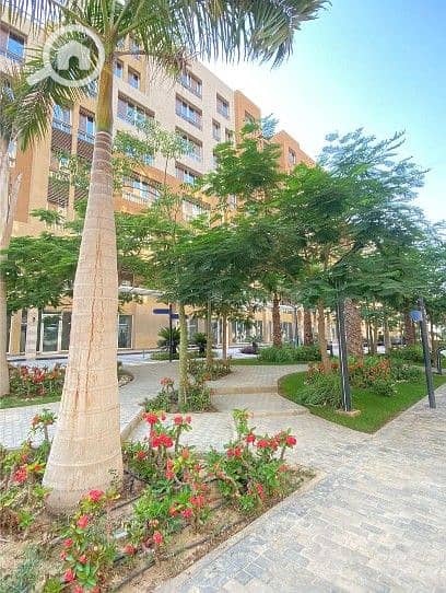 13 Screenshot_1. jpg