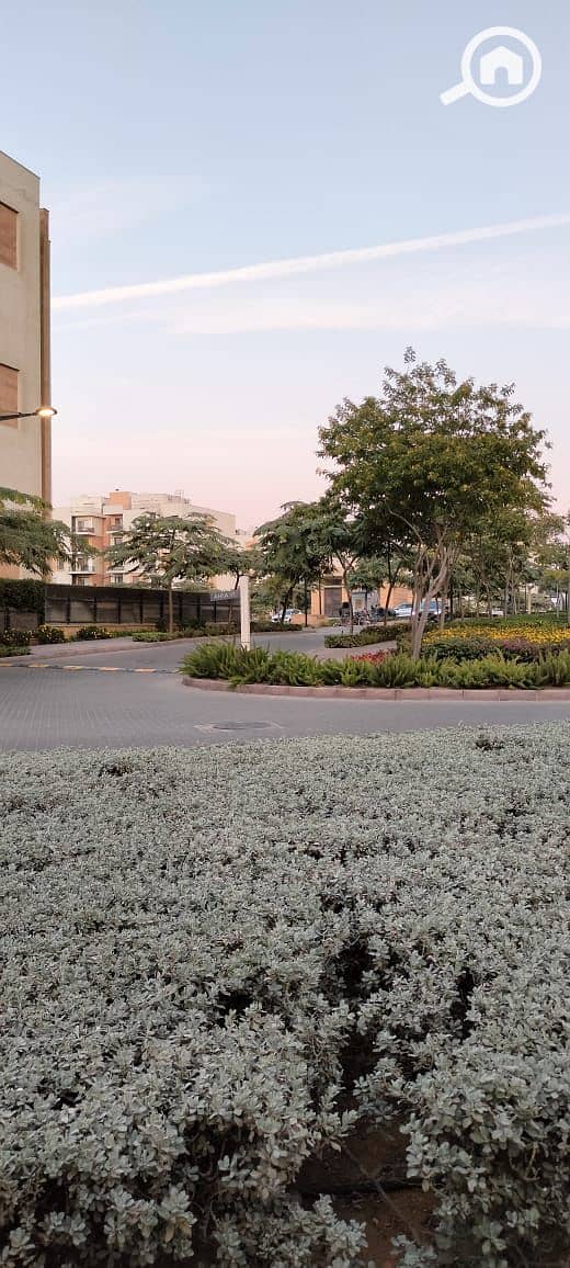 13 IMG-20260111-WA0098. jpg