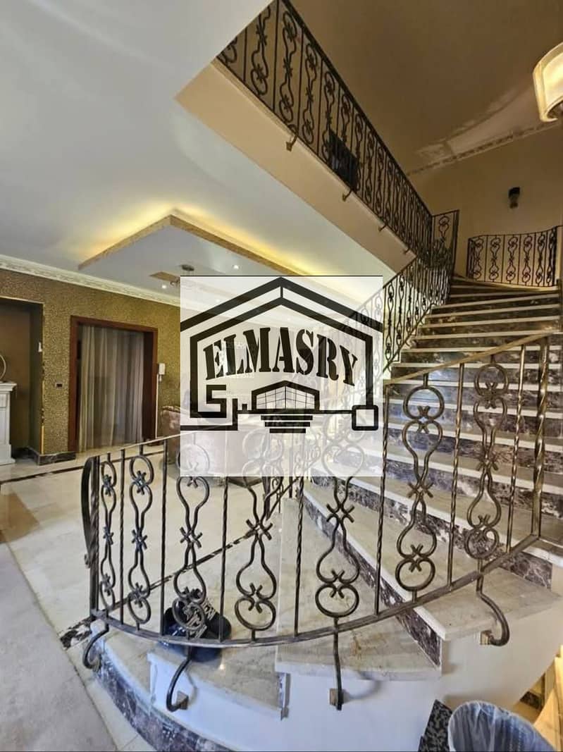 2 3e0d5d6e-6321-49d9-b3b6-34d71655fd54. jpg