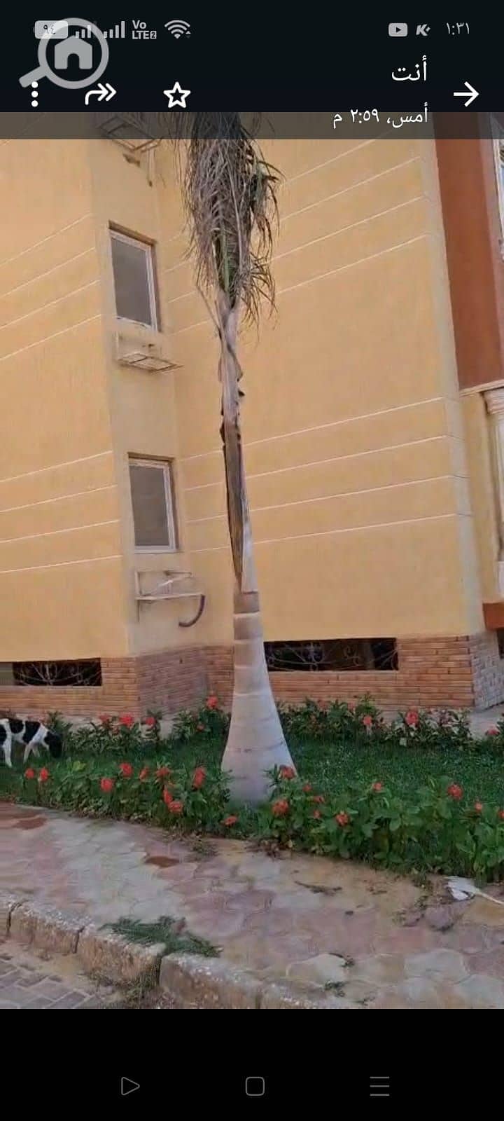 20 WhatsApp Image 2026-01-13 at 1.32. 45 PM (3). jpeg