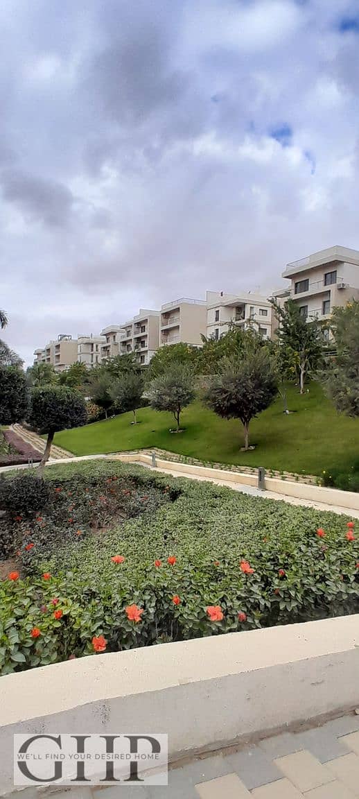 3 20251229_142324. jpg