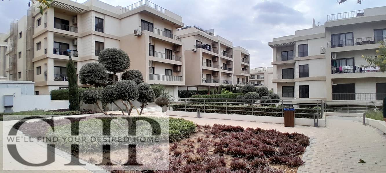 6 20251229_143310. jpg