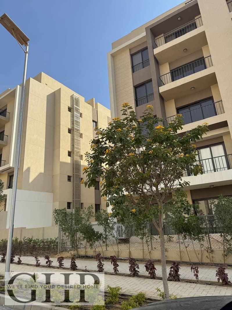 11 marassem (4). jpg