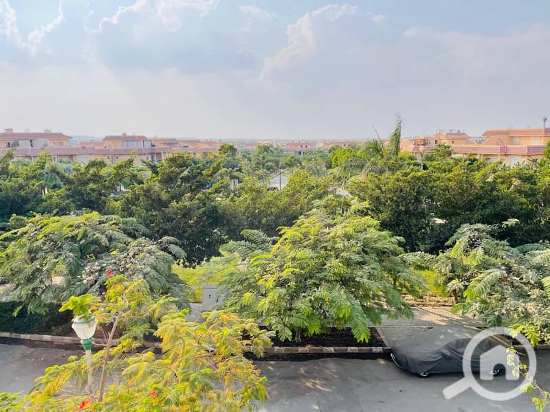 12 c883d711-f0e5-4ef7-aa48-6c8fea83b098. jpeg