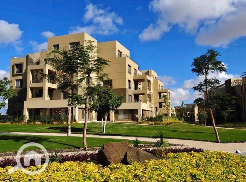 13 577252143_1091717416195079_1247919052416633771_n. jpg