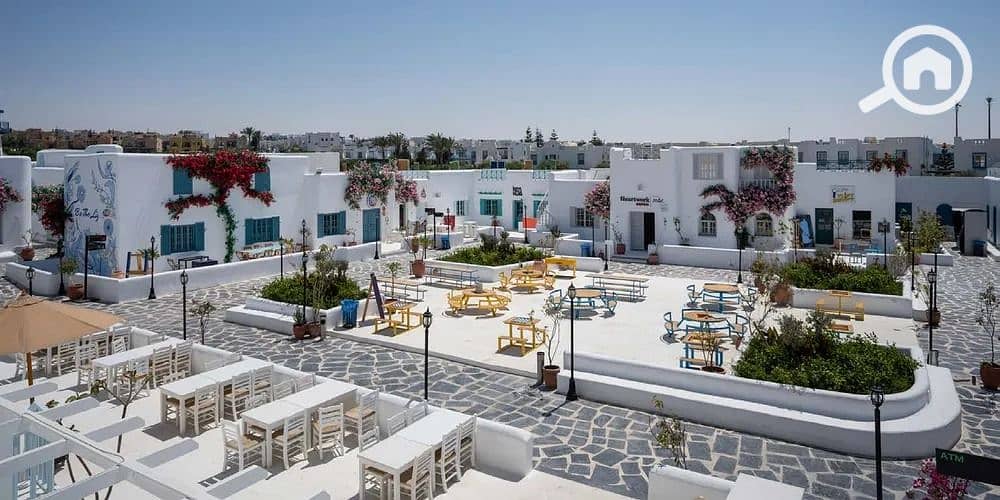 2 WhatsApp Image 2026-01-13 at 1.54. 32 PM (2). jpeg