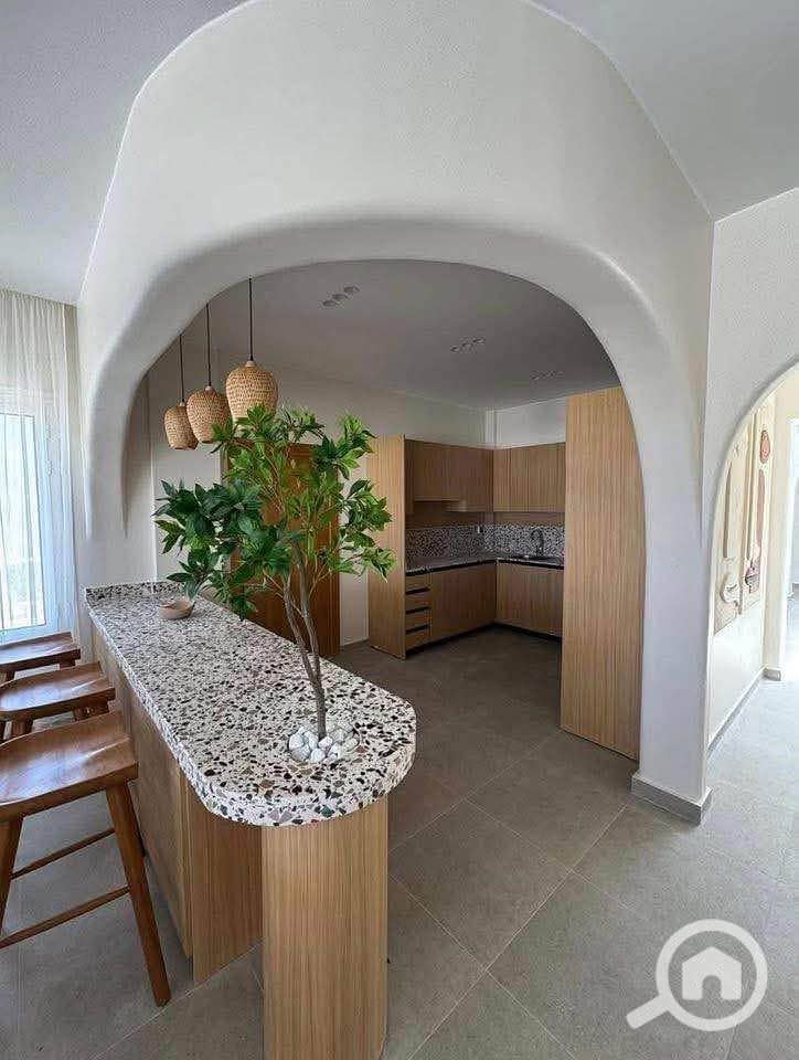 7 517591668_754171850928846_213434472911699251_n. jpg