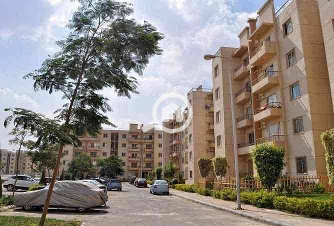 11 0e231016-b1ee-4af1-bc73-98b9f50ed07f. jpg