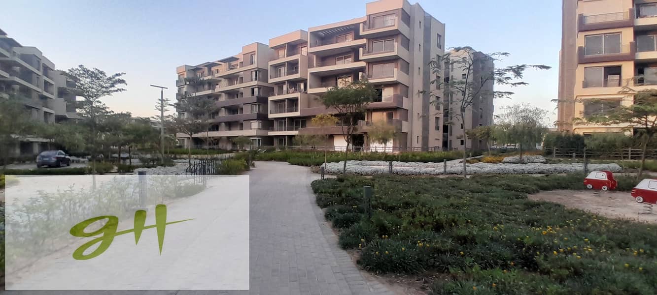 3 20251021_180411. jpg