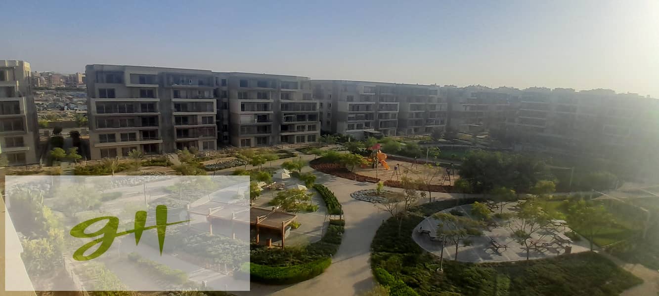 6 20251024_170421. jpg