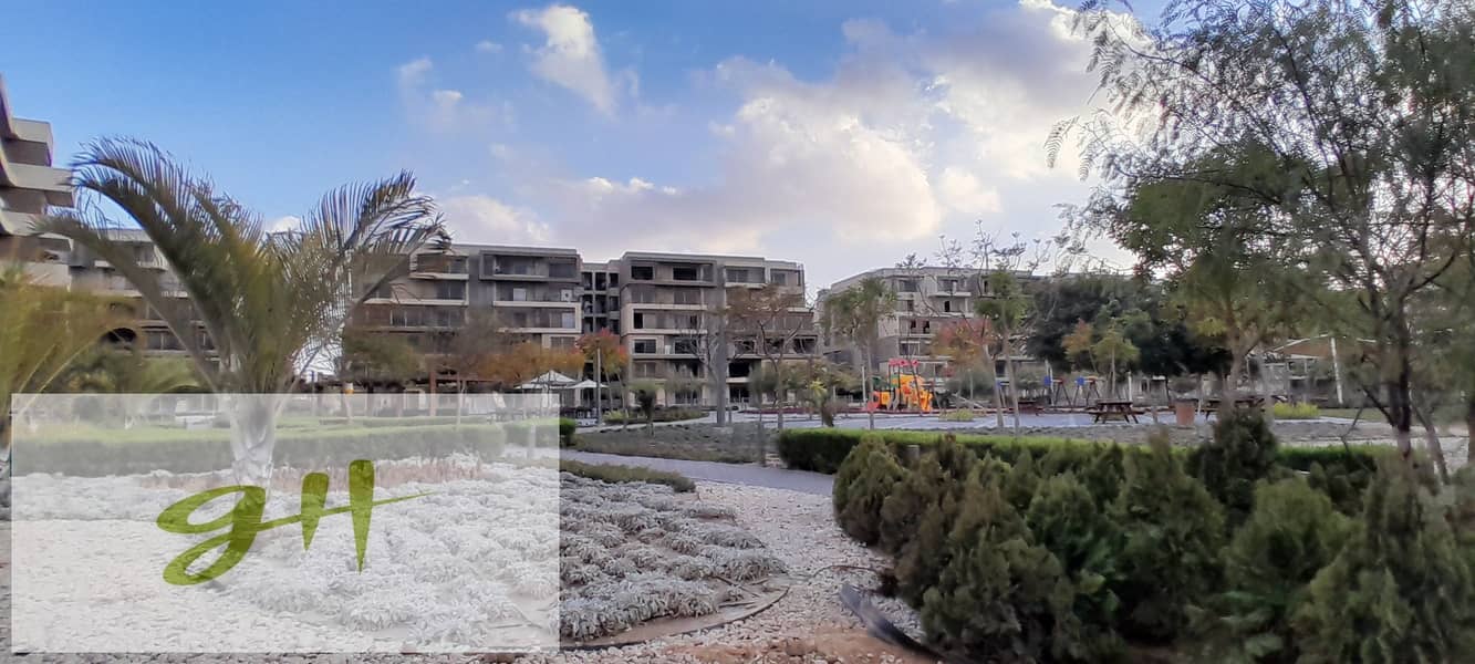 9 20260109_161923. jpg