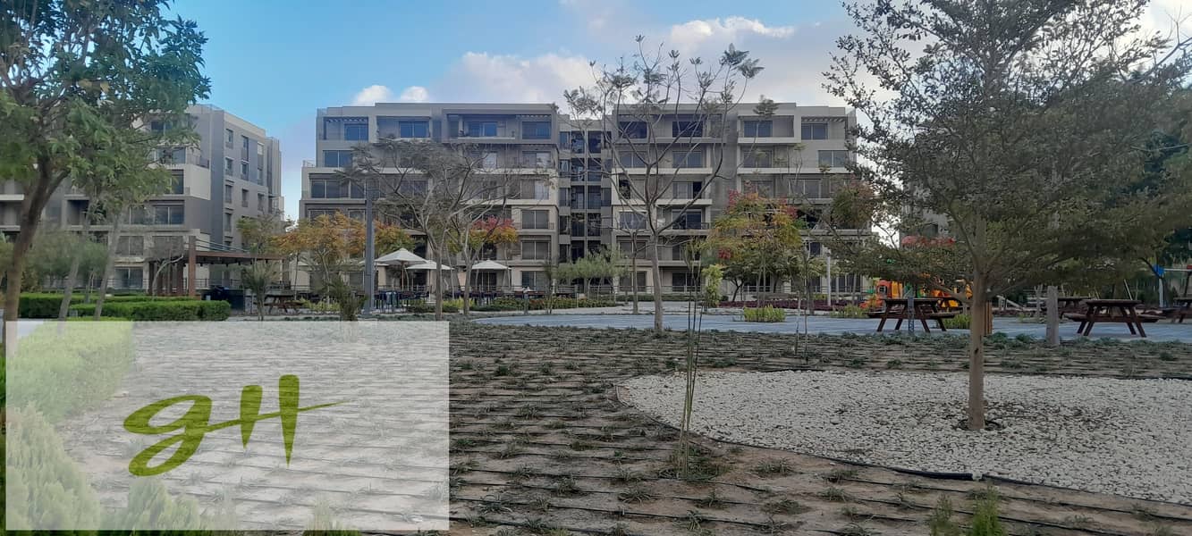 11 20260109_161942. jpg