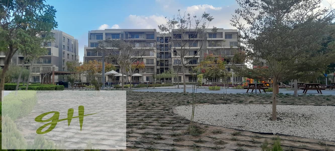 12 20260109_161944. jpg