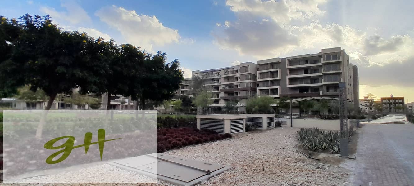 13 20260109_162030. jpg