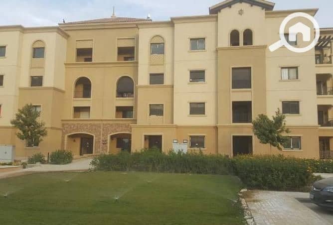 8 75412103_2429984150589911_2787511574141599744_n. jpg