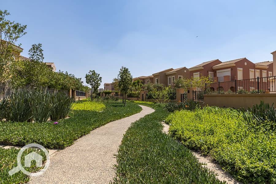 10 211348489_379530196837383_787402466655546356_n. jpg