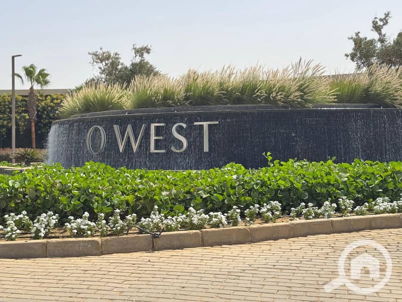 11 WhatsApp Image 2024-11-12 at 23.14. 10_ecafabfb. jpg