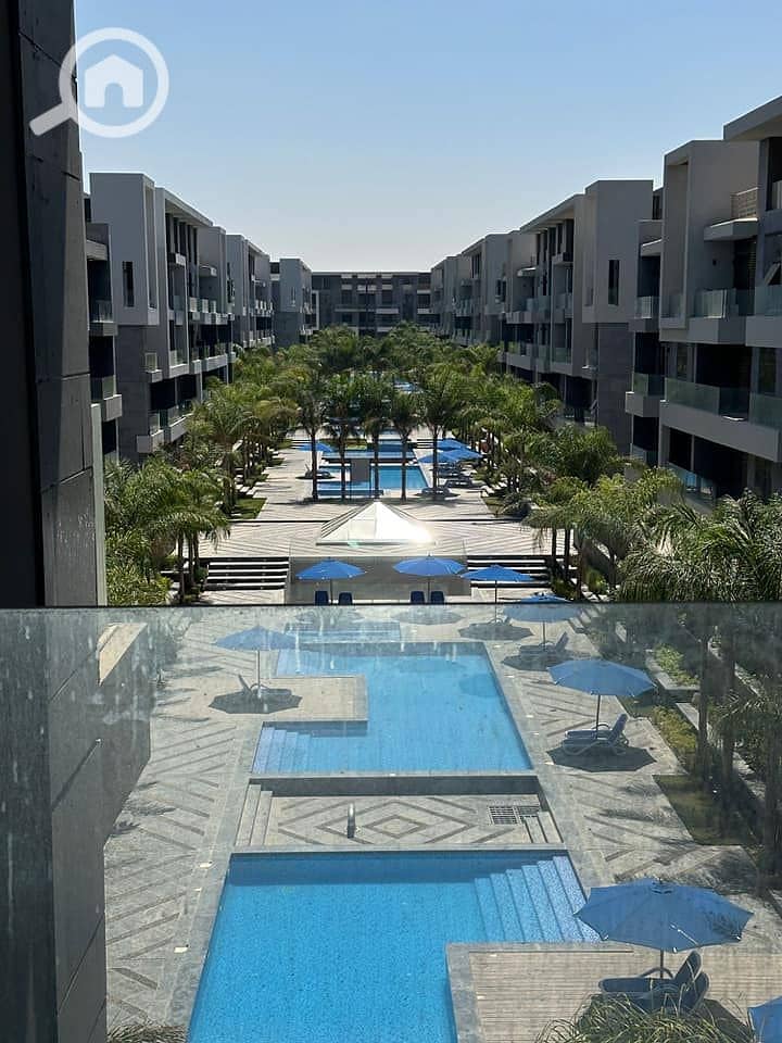 10 376224895_6560329997389736_1339709015666977538_n. jpg