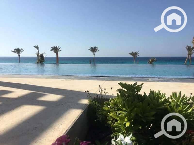 8 mgI5aYSVdJQHPl8QwGbDMdxgnYZc0XadvaxdeDuy. jpg