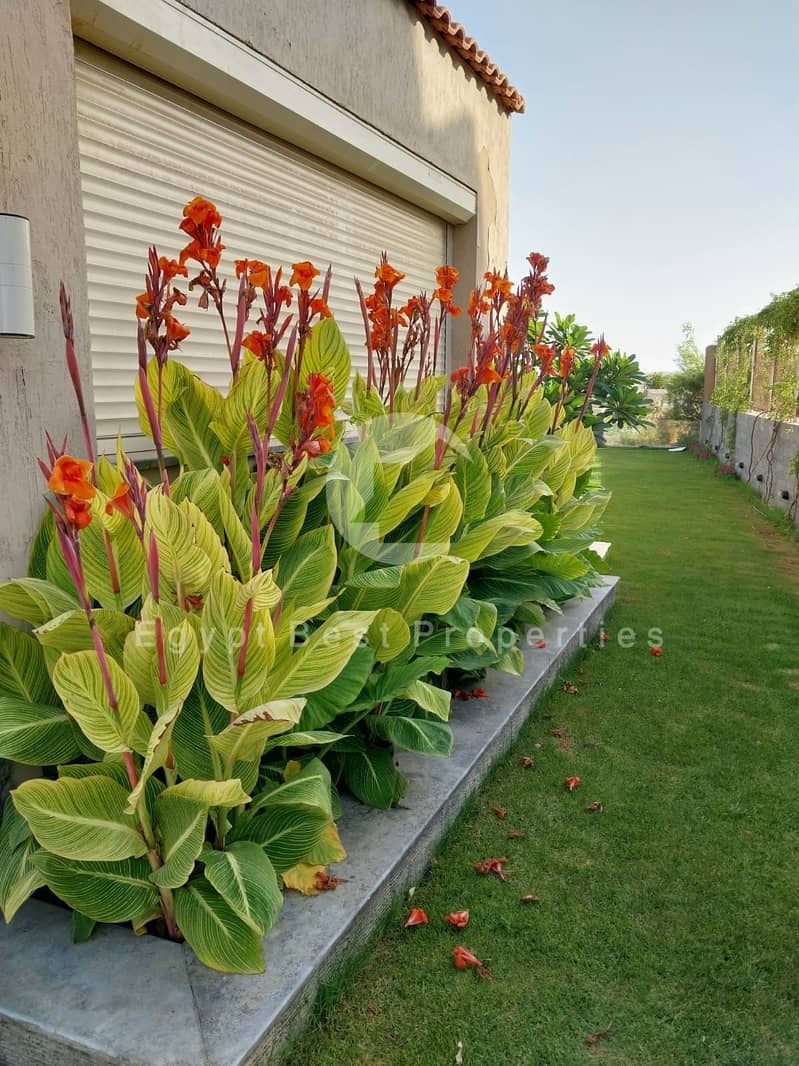 3 0ca4df88-6b67-4948-945b-c6aa8bdbf2c9. jpeg