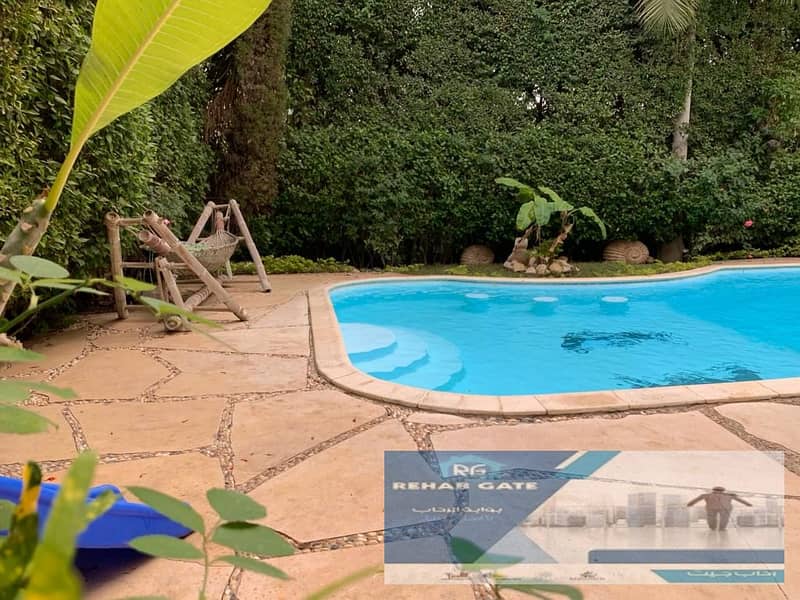 3 14d88ff8-2bcb-4b4c-b3f7-338b92e294c4. jpg