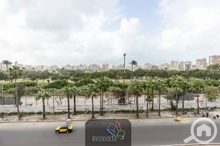 Office for Rent in Sporting, Alexandria - 3. jpg