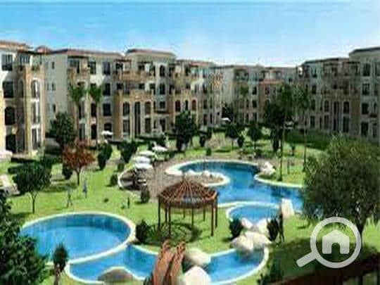 4 908c661a-784e-11ef-b4da-dac444b7180f. jpeg