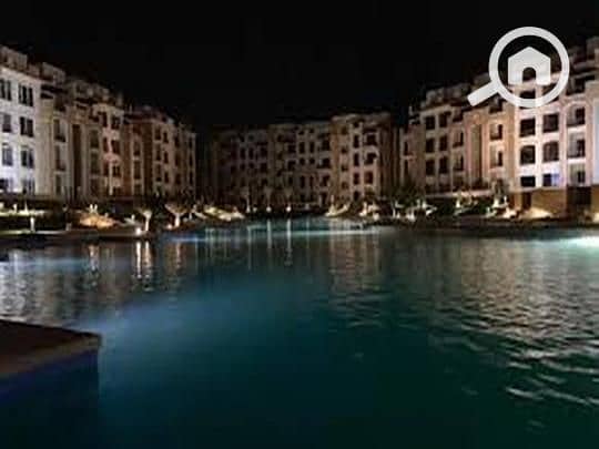 6 908e484f-784e-11ef-b4da-dac444b7180f. jpeg