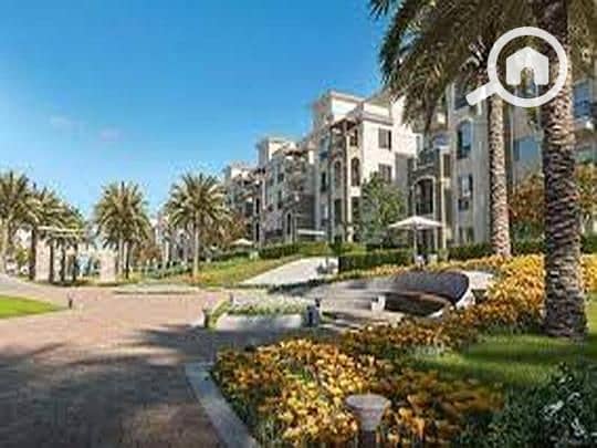 11 9080ad7a-784e-11ef-9f80-ae4f9337efe8. jpeg