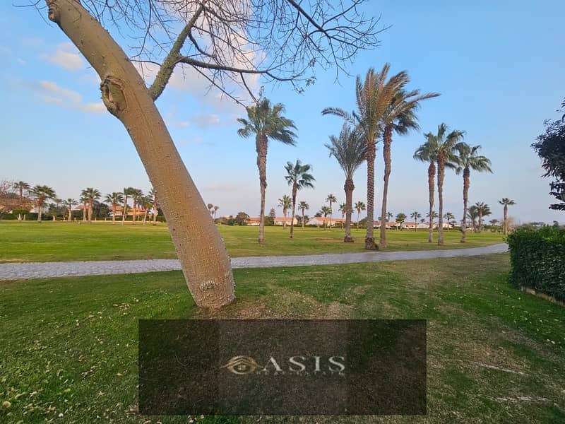 7 WhatsApp Image 2026-01-11 at 23.04. 08. jpeg