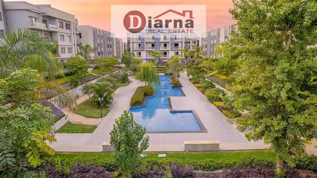 6 جاليريا5. jpeg