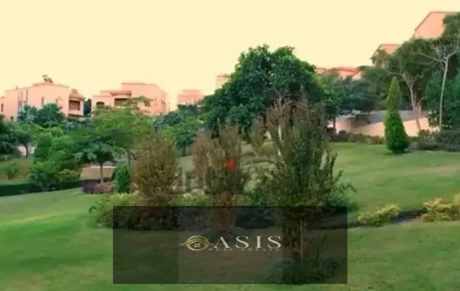 10 7797142-9e8d7o. jpg