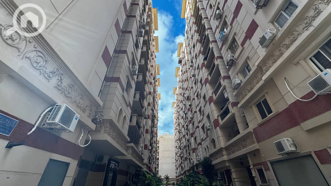 4 tempImagekrwuts. jpg