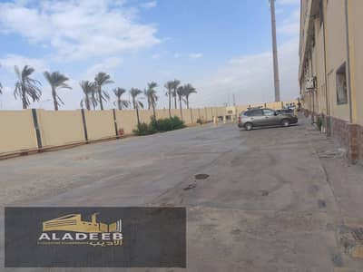 مصنع  للايجار في العاشر من رمضان، الشرقية - WhatsApp Image 2026-01-13 at 2.58. 50 PM (1). jpeg