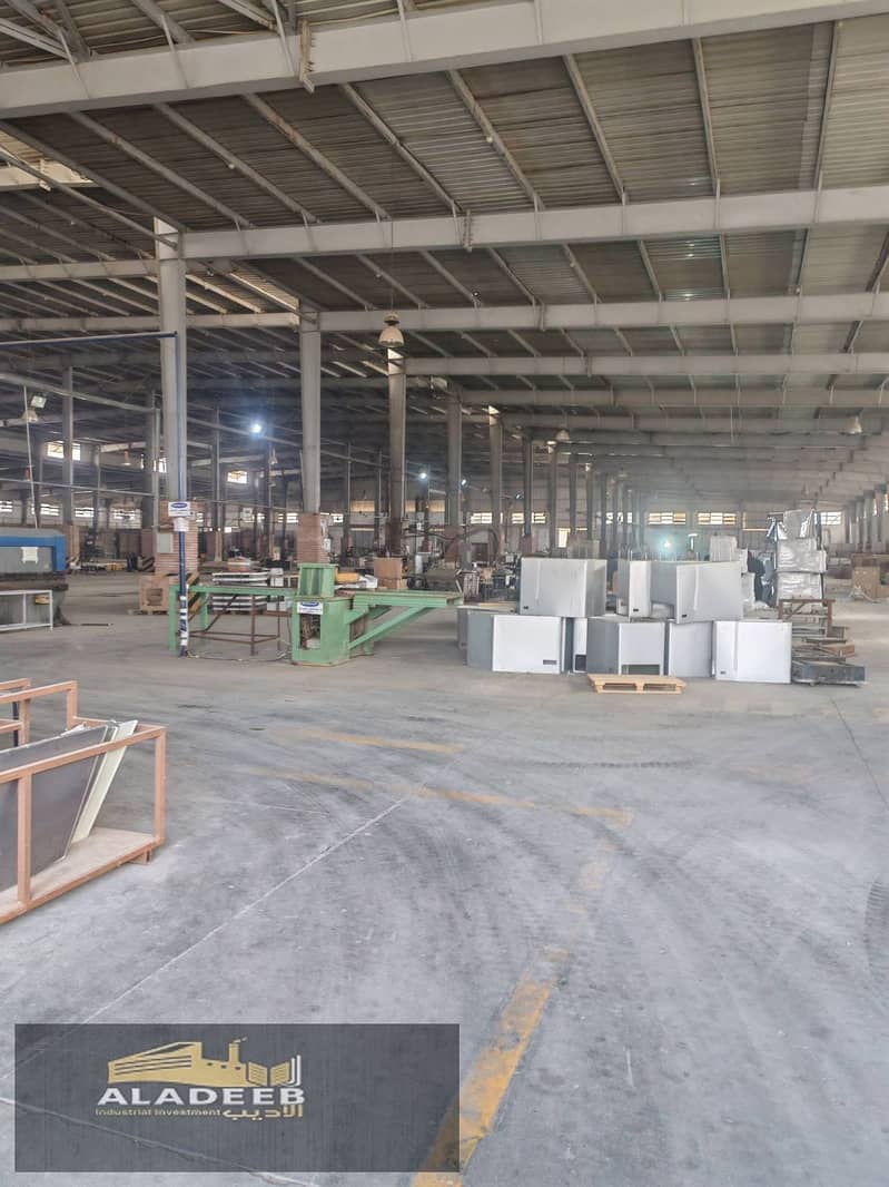 4 WhatsApp Image 2026-01-13 at 2.58. 49 PM. jpeg