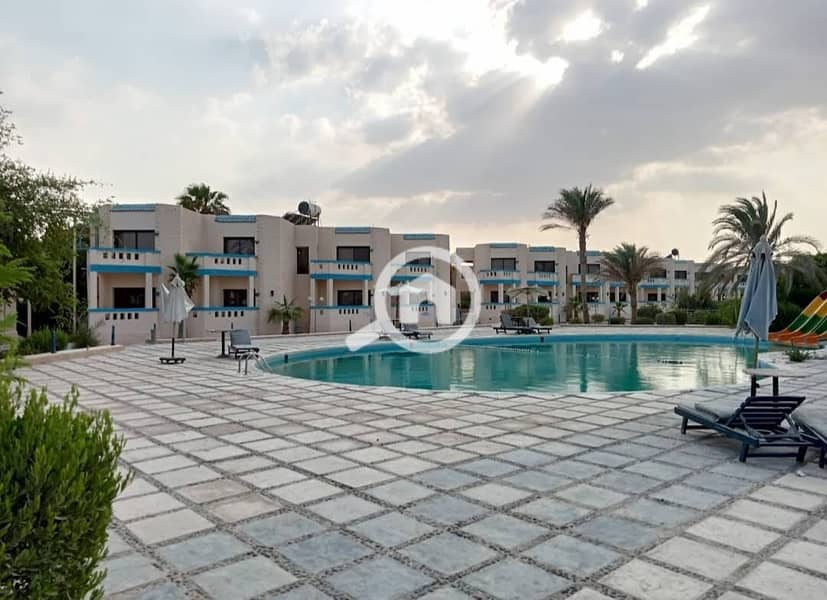 2 921fb949-b287-4c0a-93e9-05cab04ac7dd. jpg