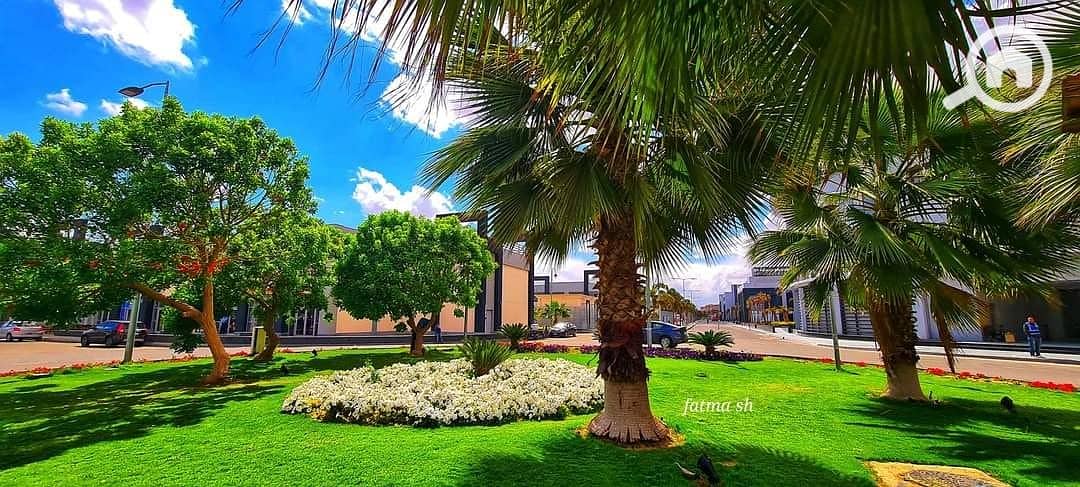 4 476897669_1028285289324232_5100823728700581610_n. jpg