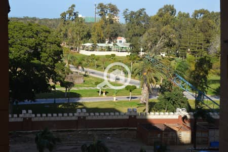 فلیٹ 2 غرفة نوم للبيع في المنتزه، الإسكندرية - 42. jpg