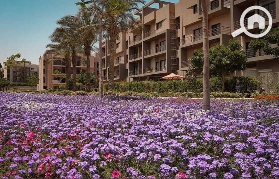 13 b39ed789-a669-4d5d-b43b-04560c78b7f0. jpg