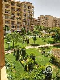 6 images (1) (1). jpg